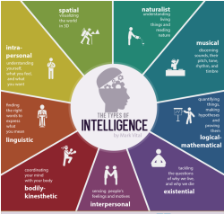 alovakatanyulakelbasztak:  The types of intelligence 