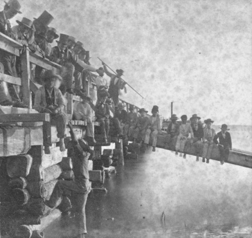 Stereoview portrait of a group posing on a bridge or pier in Mount Pleasant, South Carolina, 1860. B