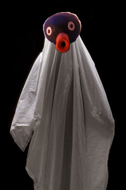 officialnoot:  this is the pingu ghost every year near halloween, he comes to claim another victim reblog in 5 seconds if you want to live it is said that anyone who scrolls past will be forever tortured by forlorn “nooots” in the night  SPOOPY NOOTS