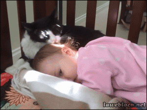 GIF TV