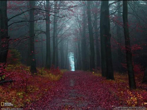  The Black Forest, Germany It’s The Sunsets You Never Expect To Be Great That Are. Pink Reflections From Last October. G