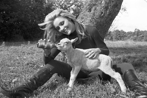 foreversharontate:Sharon Tate bottle-feeding a lamb on a break from filming Eye of The Devil in 1965