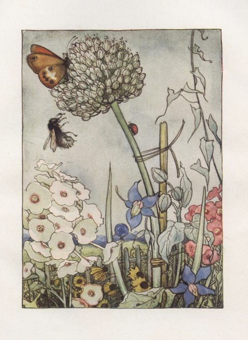 Else Wenz-Vietor, illustration for the children’s book “Häsi” by Alma de l´Aigle, 1940. Thienemanns 