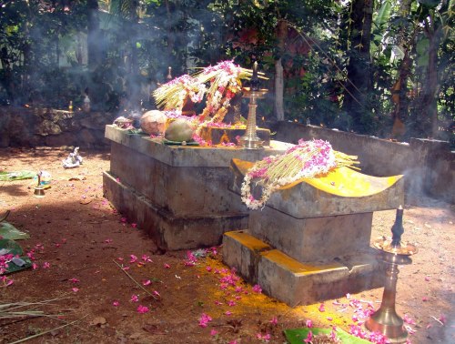 Sarpa Kavu, shrine for naga worship, Kerala