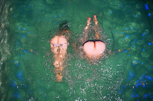 iiynx:  synchrodogs | hidden luster 