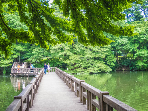 pikatru:mystayintokyo:Studio Ghibli Museum and Inokashira Parksomeone take me here