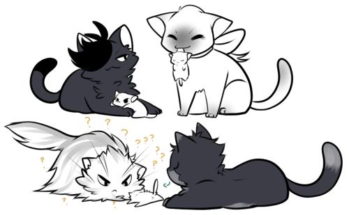 suguru:assorted fluffy bokuaka / kuroshou kitties + kittens