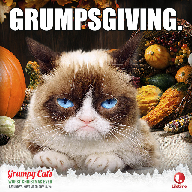 (Un) Happy Thanksgiving. This Saturday Grumpy... - Grumpy Cat's Worst ...