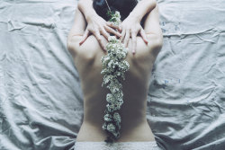 spiritual-loneliness:   	Flowerspine by Anna