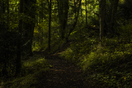 garettphotography:“Lay thy shadow on the sundials, and on the meadows let the winds go loose. 