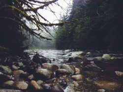 brutalgeneration:  Seymour River #47484849