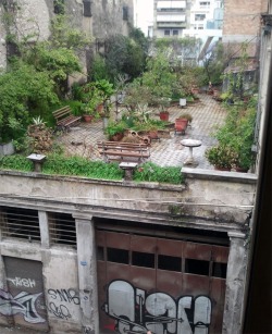 ovrdosage:  kcjo:  Secret roof garden in Greece  I love this. 