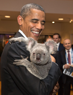 whitehouse:  Sharing a koalaty moment in