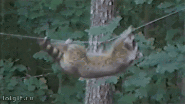xlupik:  Mission Impossible
