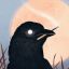sleepycrows