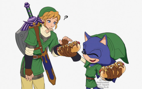 thinking about the fact that link from skyward sword met sonic the hedgehog in the sonic lost world 