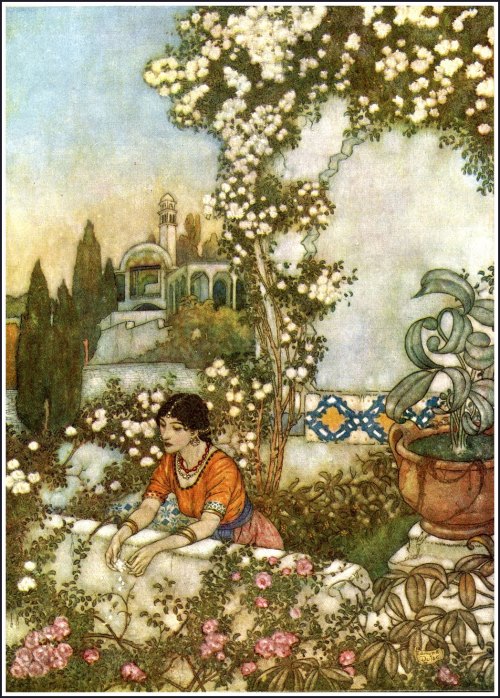 Illustration by Edmund Dulac for Rubaiyat of Omar Khayyam. Published by Hodder &amp; Stoughton, 