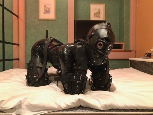 torturesadist:Normal position for an object and gimp. it will be lucky to get out of that once a wee