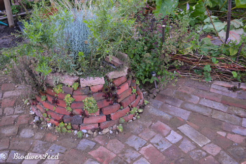 biodiverseed:New, improved and finally finished:The firepit and herb spiralI started building this a