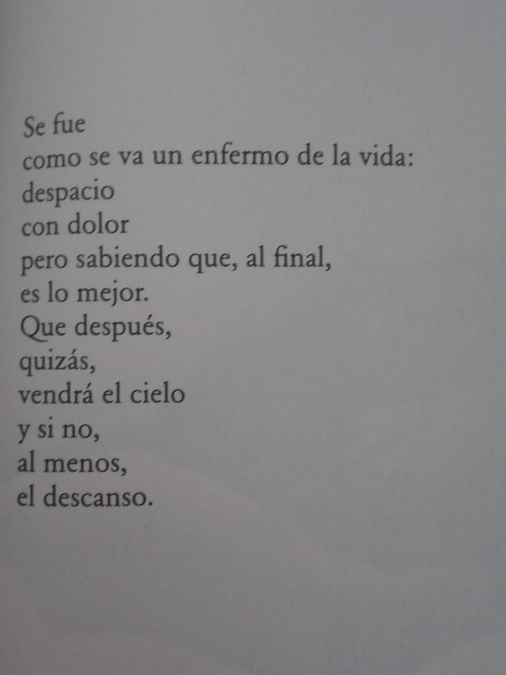 huelesalluvia:   Loreto Sesma 