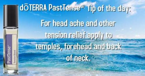PastTense uses a fresh, cooling aroma that can ease stressful feelings and promote a sense of calm. 