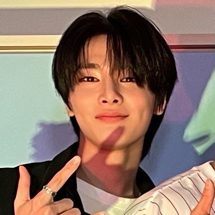 Stray Kids Matching Icons/metadinhas.