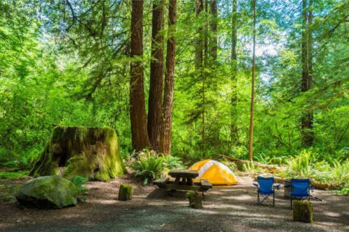 mizar113:Mill Creek Campground,