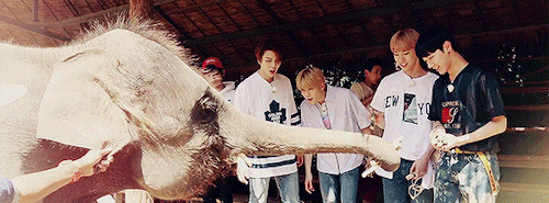 nakamotens:NCT LIFE in chiang mai ♡