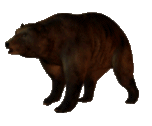 the-entire-furry-fandom:  ww-swagabond:  meta18:  osoru:   slowly approaching bear