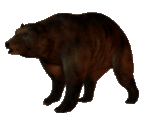 dxindustriesinc:the-entire-furry-fandom: ww-swagabond:  meta18:  osoru:  slowly approaching bear  the bears will be in eventually  Bear will arrive sooner than thought.  BEAR IS APPROACHING AT ALARMING SPEEDS BEAR IS GO FAST LOSING TRACK OF BEAR BEAR
