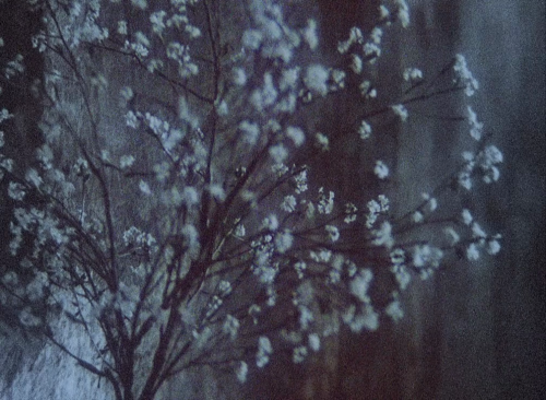 lostinpersona:Whispering Pages, Aleksandr Sokurov (1994)