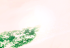  K Project Scenery.               