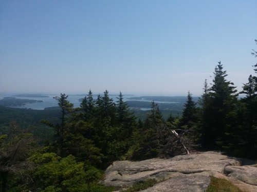 Just A Couple Photos I Wanted To Share. We Hiked Up Beech Mountain On Mt Desert Island A Little Bit Ago,