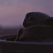 clonesdeservelovetoo:MYHEARTBELONGS TO YOUBABY YODA