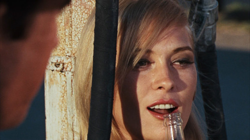 inthedarktrees:  Faye Dunaway | Bonnie and porn pictures