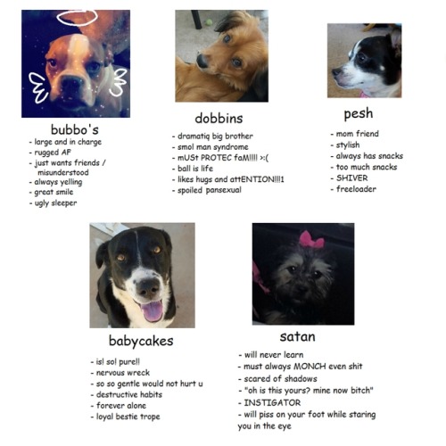 Which of my family doggos are usubmitted by @pookiepantz