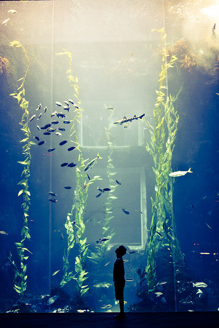 10bullets:  I think i am small by deadmanhead on Flickr.