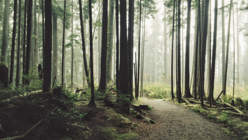 leebarguss:  (by Tyler Forest-Hauser) 