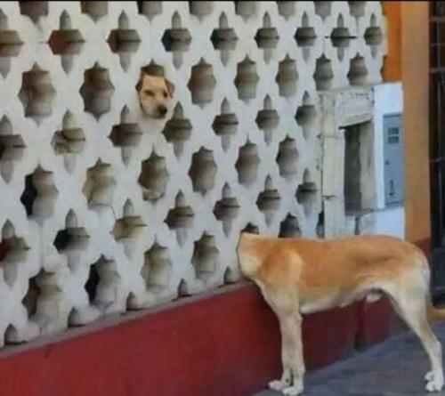 picsthatmakeyougohmm:hmmm