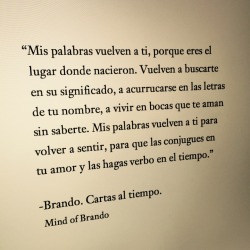 mindofbrando:  Mis palabras vuelven a ti,