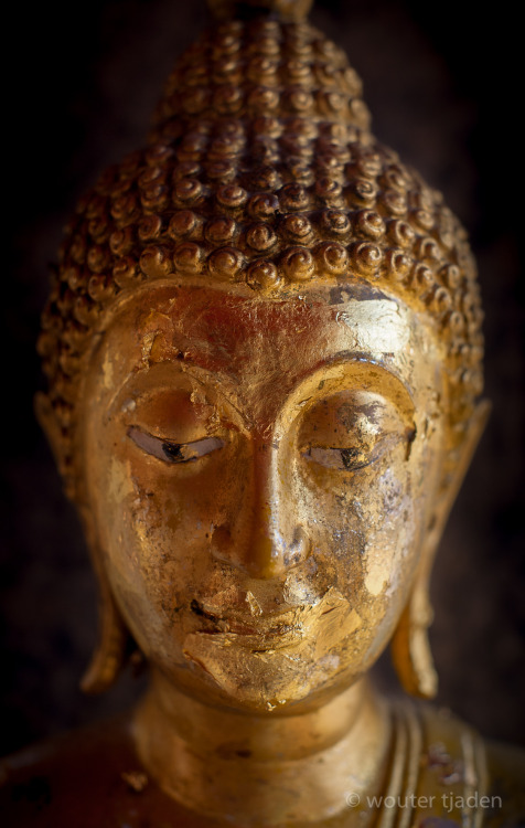 Buddha - Doi Suthep, Chiang Mai, Thailand Canon 5D - Pentax 50 1.4 MF