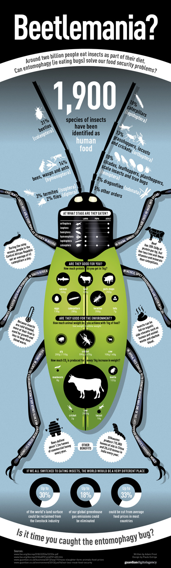 An infographic about entomophagy - that’s eating insects - by Adam Frost & Paolo Estriga