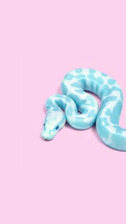 https://le0nin4.tumblr.com/post/159419834446
