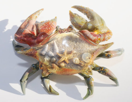 Glass Crab //IsabelGreen