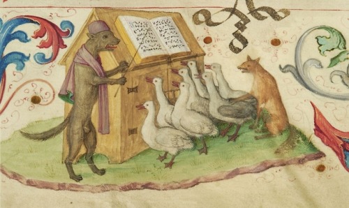 My latest discovery: a whimsical illustration from the medieval “Geese Book” “ (Das Gansebuch 