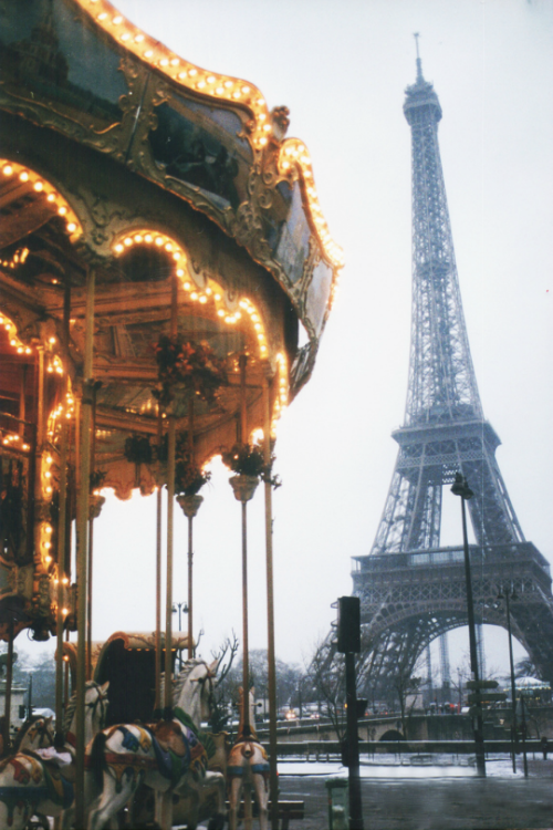 expressions-of-nature:  Paris je t'aime : Valeria Schettino 
