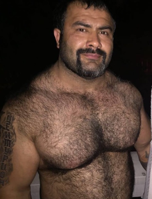 Handsome man with awesome hairy pecs - WOOF
