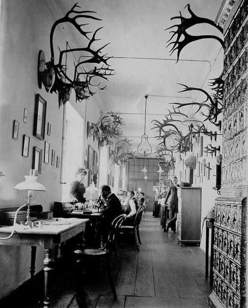 zolotoivek:  Department of Biology at the Faculty of Medicine of the University of Lviv, 1911-14.