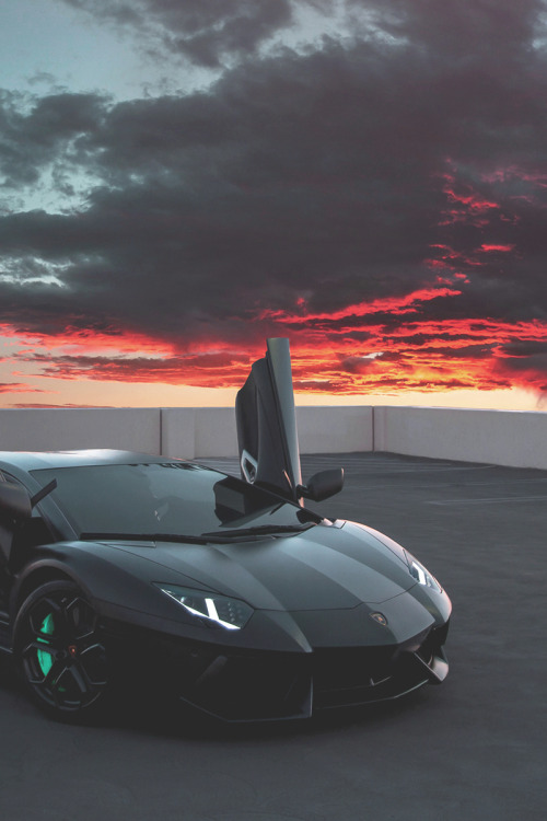 motivationsforlife:  Sunset Show Off by Chris Feulner \ MFL