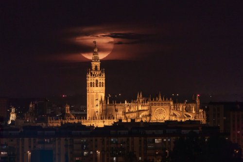  «Hagamos una iglesia tan hermosa y tan grandiosa que los que la vieren labrada nos tengan por locos